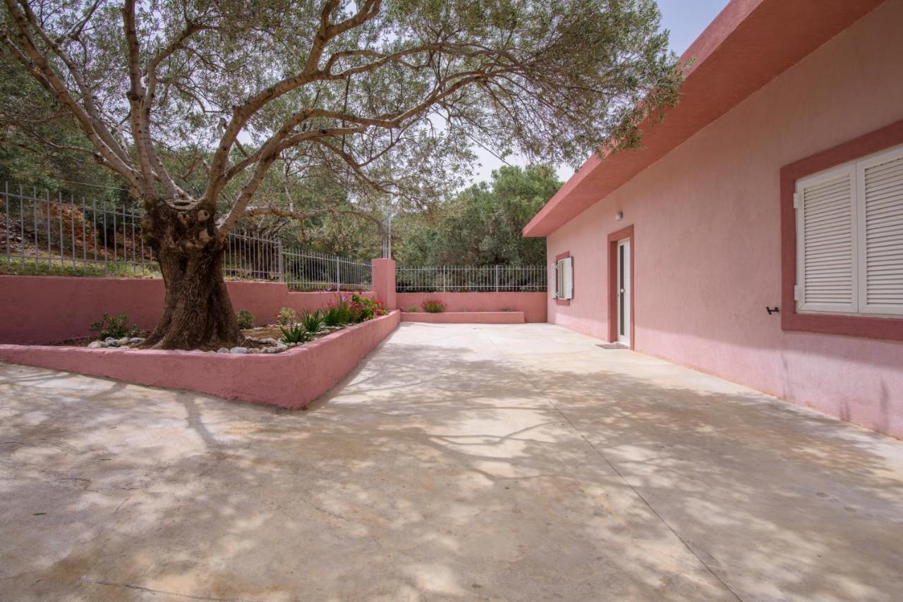 Palm Beach House Sfinarion Luaran gambar