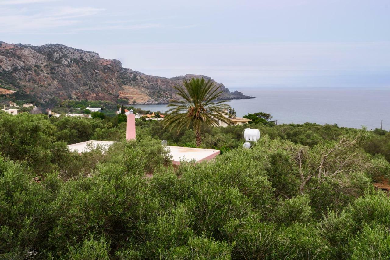 Palm Beach House Sfinarion Luaran gambar